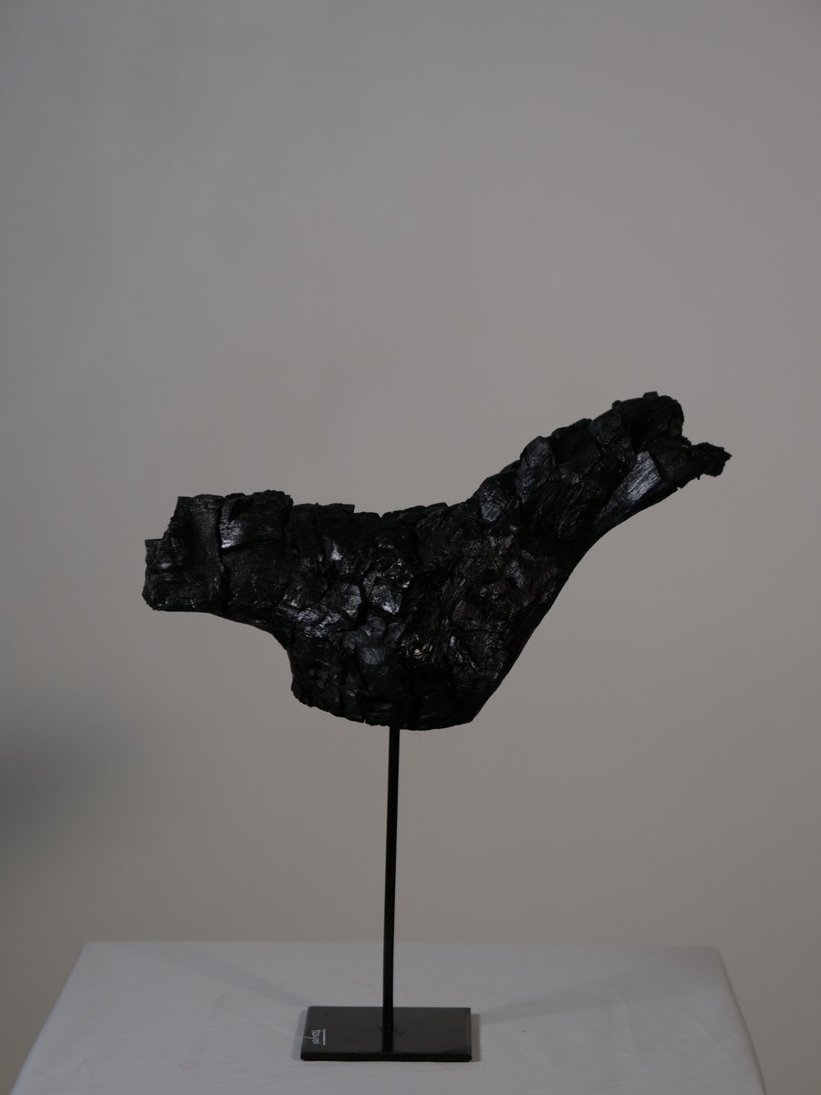 Oiseau des cendres, second angle